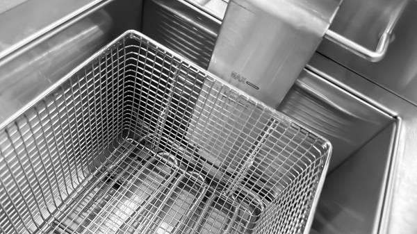 Electric Deep Fryer - 2x8 Liter Budget