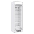 Tiefkühlschrank 1 Glastür - 382 Liter - 640x670x2056 mm - Gastro-Bedarf24 GmbH